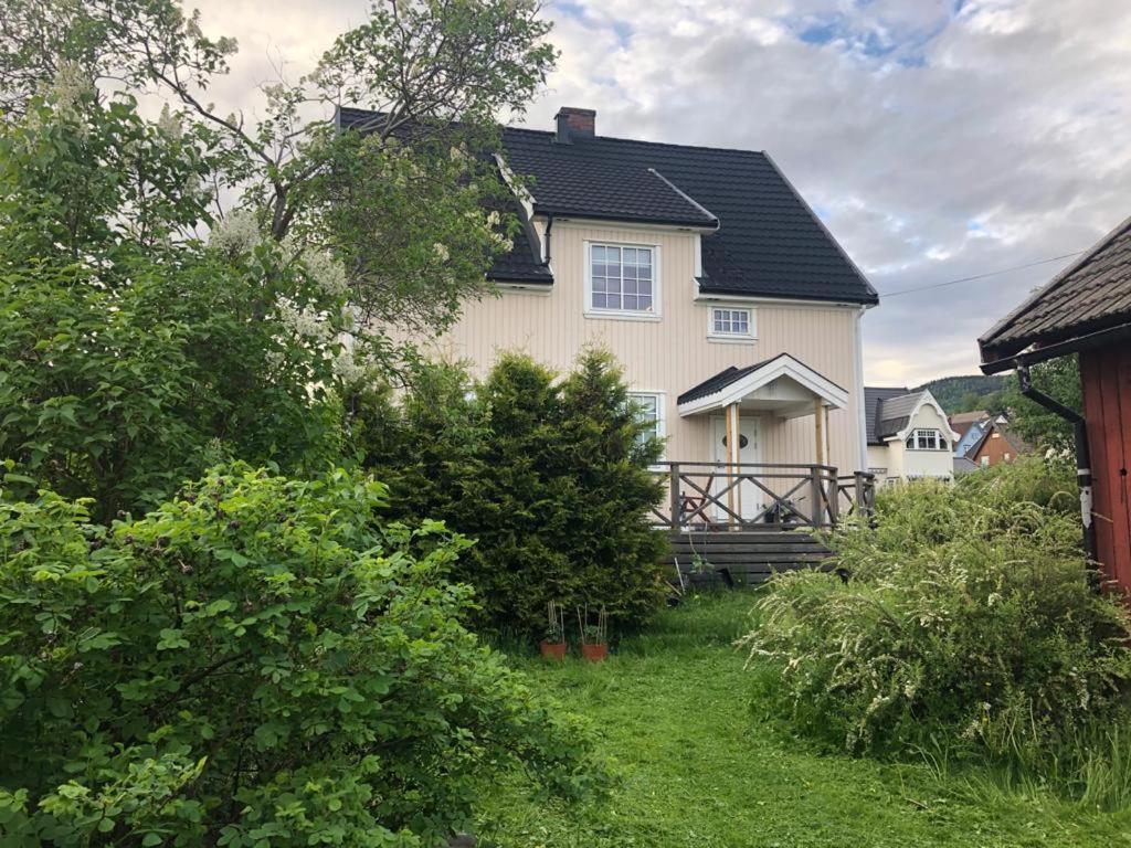 Central, Large And Light Apartment In The Middle Of The City Lillehammer Esterno foto